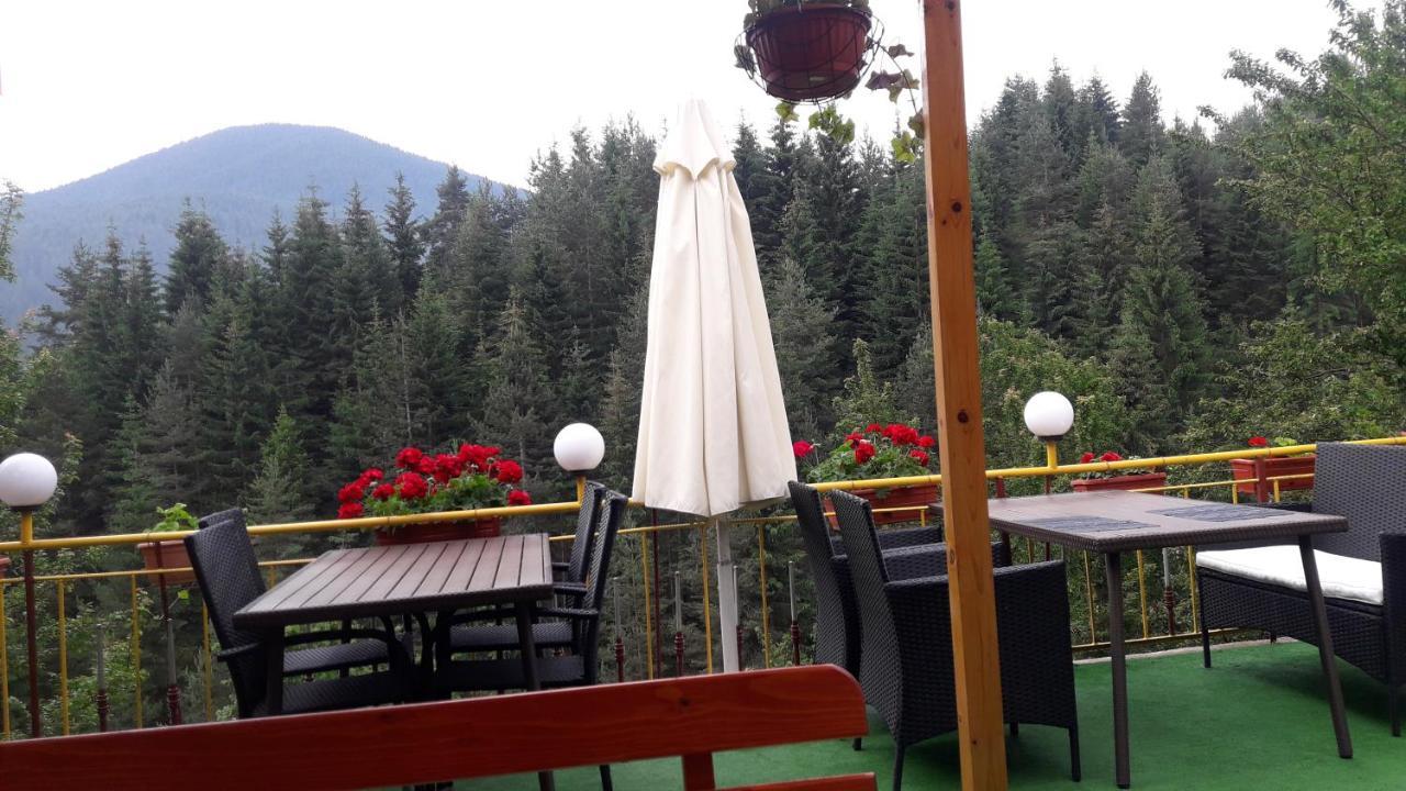 Guest House Stoletnika Ягодина Экстерьер фото