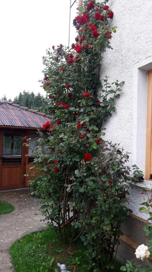 Guest House Stoletnika Ягодина Экстерьер фото